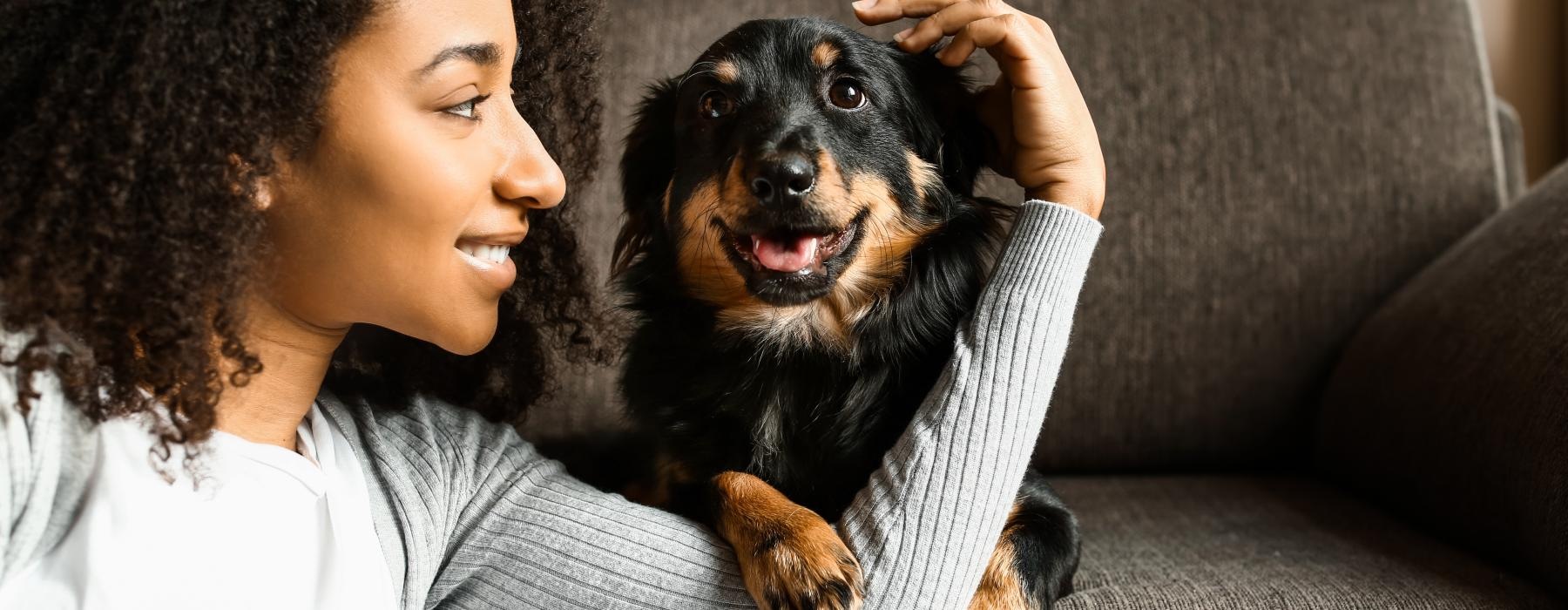 a person holding a dog